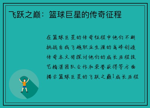 飞跃之巅：篮球巨星的传奇征程